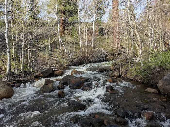 Obsidian Campground Picture 3