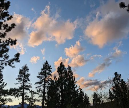 Obsidian Campground