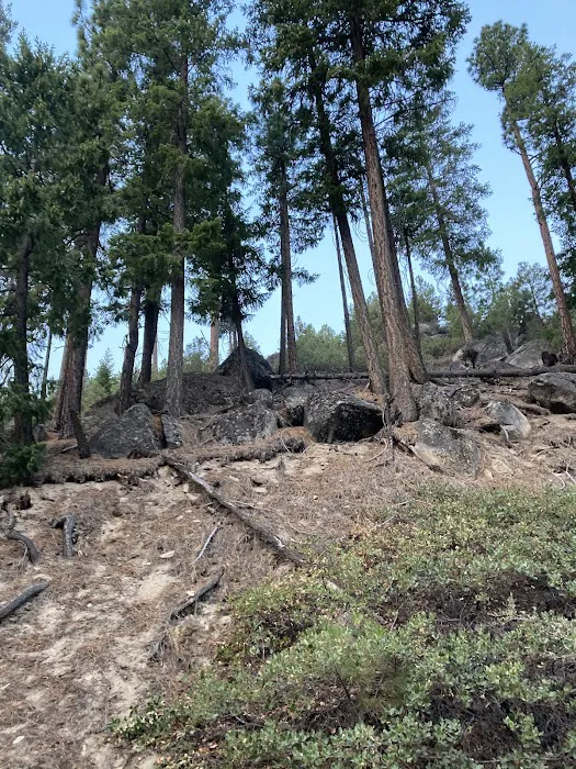 Obsidian Campground Picture 7