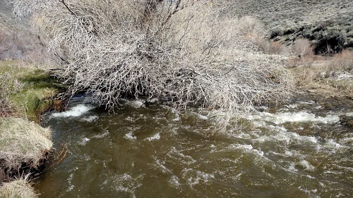 Obsidian Campground Picture 9