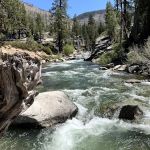 Eureka Valley Campground