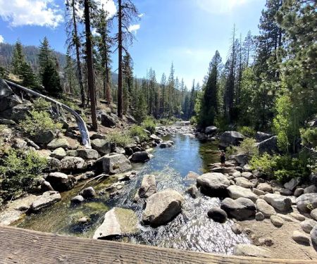 Pigeon Flat Campground