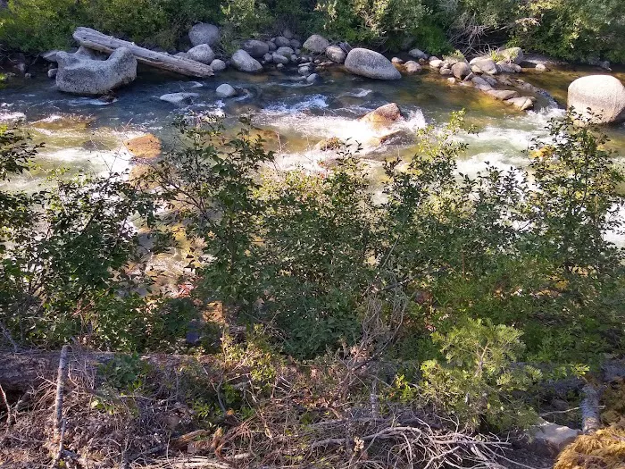 Pigeon Flat Campground Picture 5