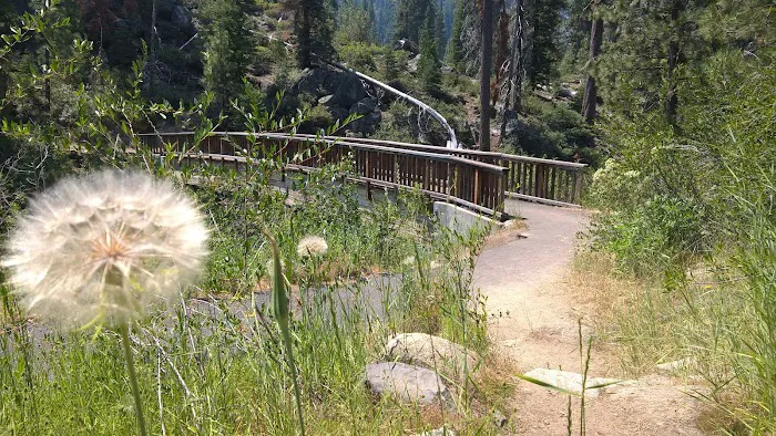 Pigeon Flat Campground Picture 9