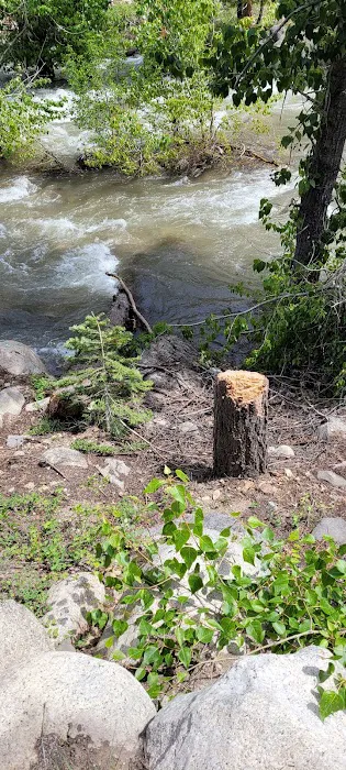 Dardanelle Campground Picture 4