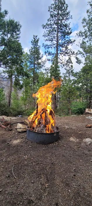 Dardanelle Campground Picture 1