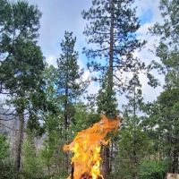 Dardanelle Campground ico