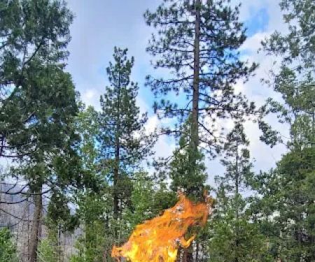 Dardanelle Campground