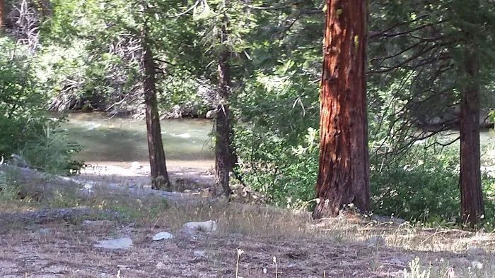 Dardanelle Campground Picture 6