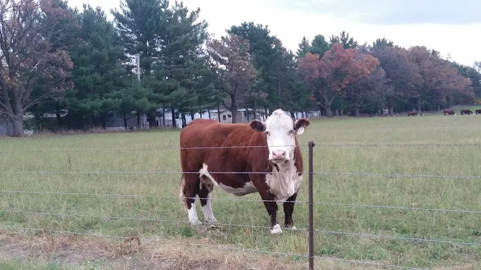 Cortland Acres Picture 1