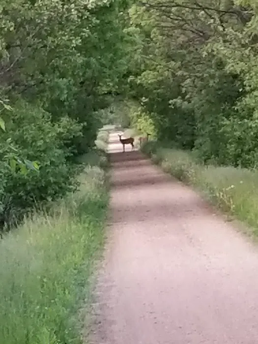 Cortland Acres Picture 7