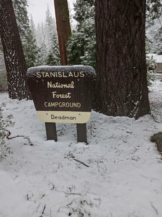 Deadman Campground Picture 7