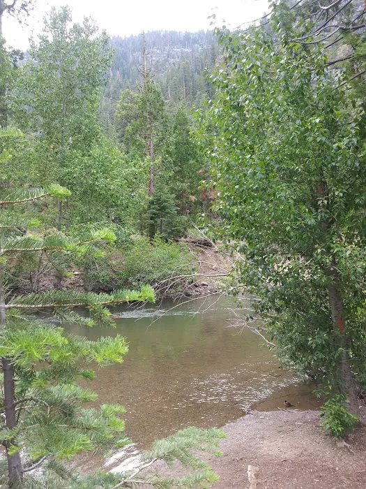 Deadman Campground Picture 8