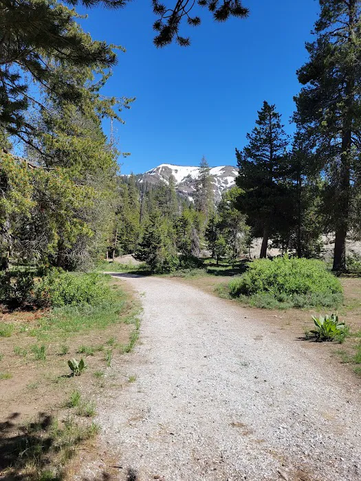 Eagle Meadows Camp Ground Picture 2