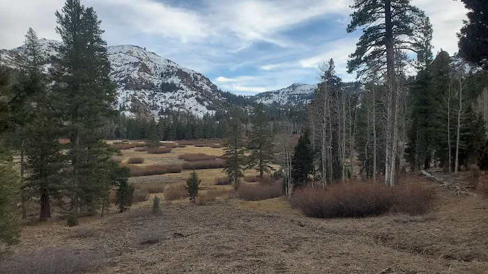 Eagle Meadows Camp Ground Picture 1