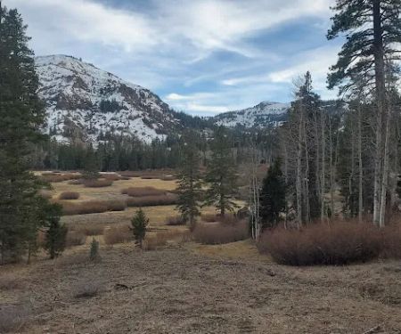 Eagle Meadows Camp Ground