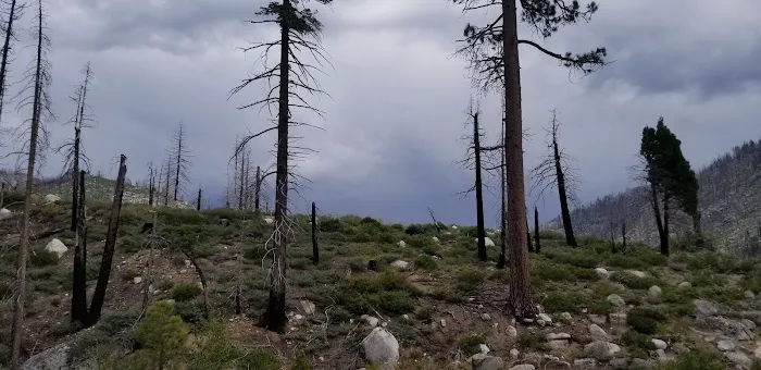 Eagle Meadows Camp Ground Picture 8