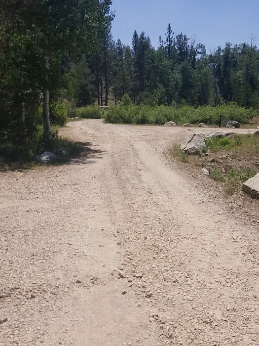 Niagara Campground Picture 4