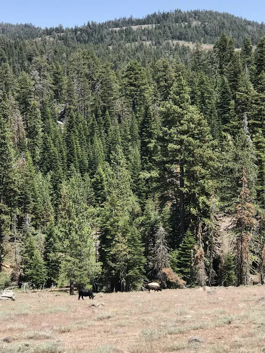 Mill Creek Campground Picture 1