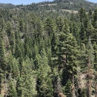 Mill Creek Campground ico