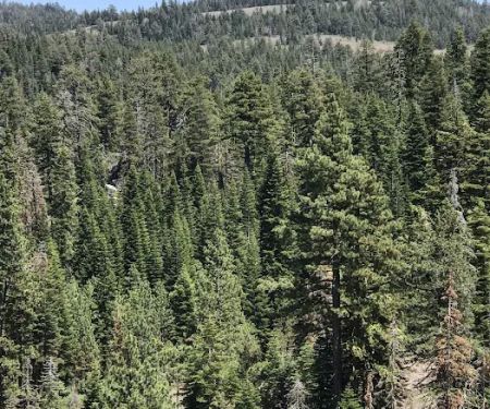 Mill Creek Campground