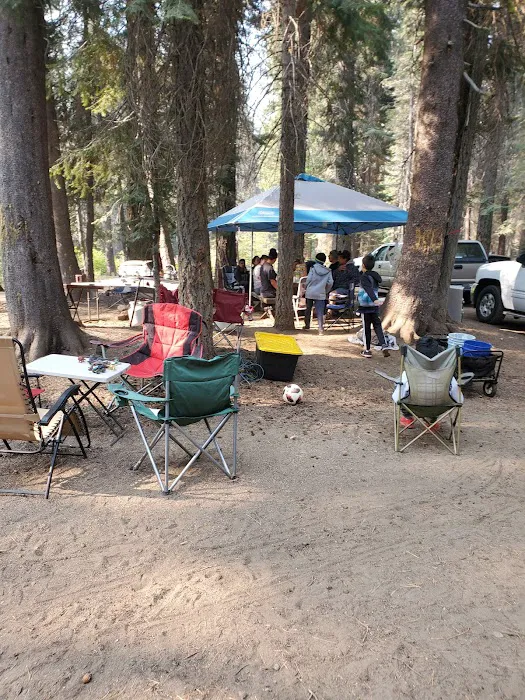 Stanislaus River Campground Picture 1