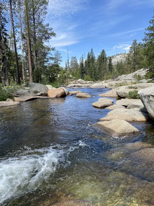 Stanislaus River Campground Picture 2