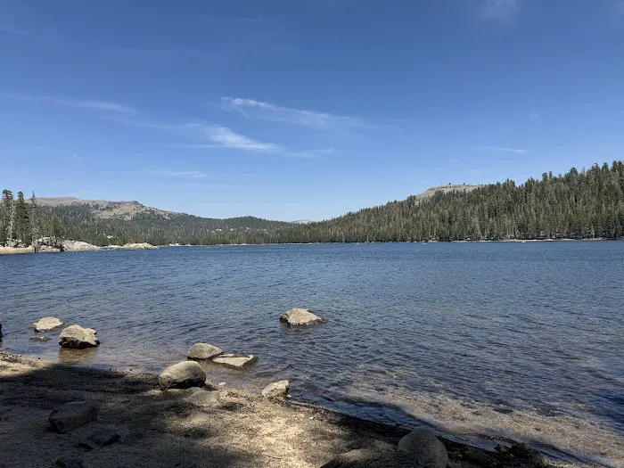 Stanislaus River Campground Picture 4