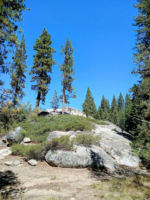 Stanislaus River Campground Picture 5