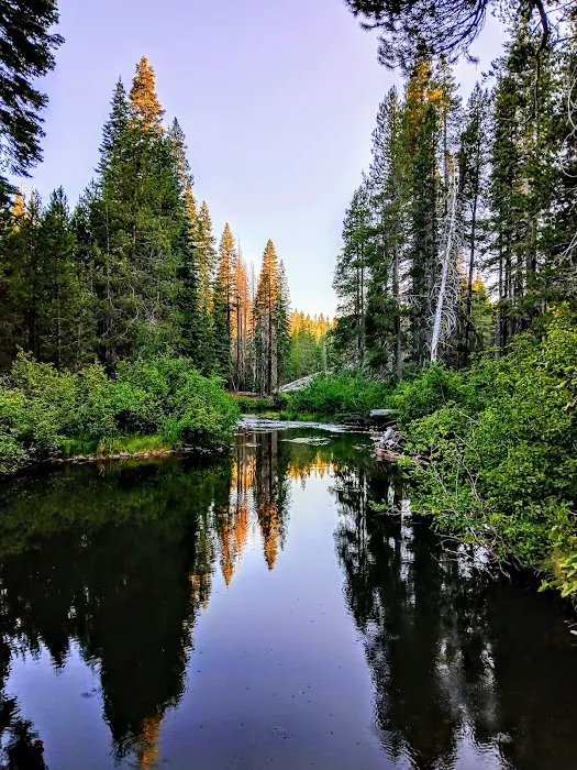 Stanislaus River Campground Picture 6
