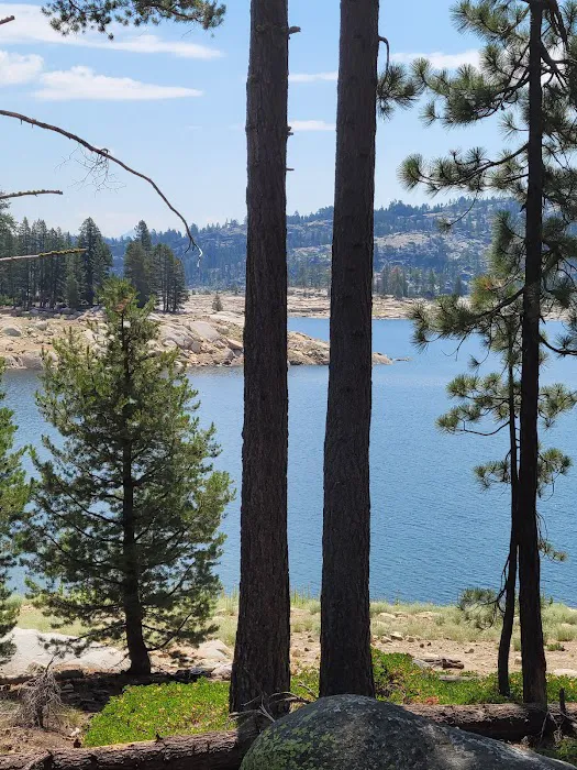 Spicer Meadow Campground Picture 1