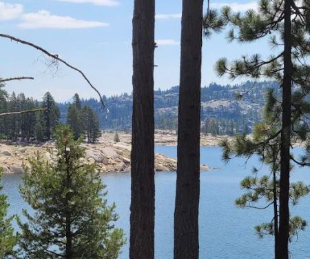 Spicer Meadow Campground