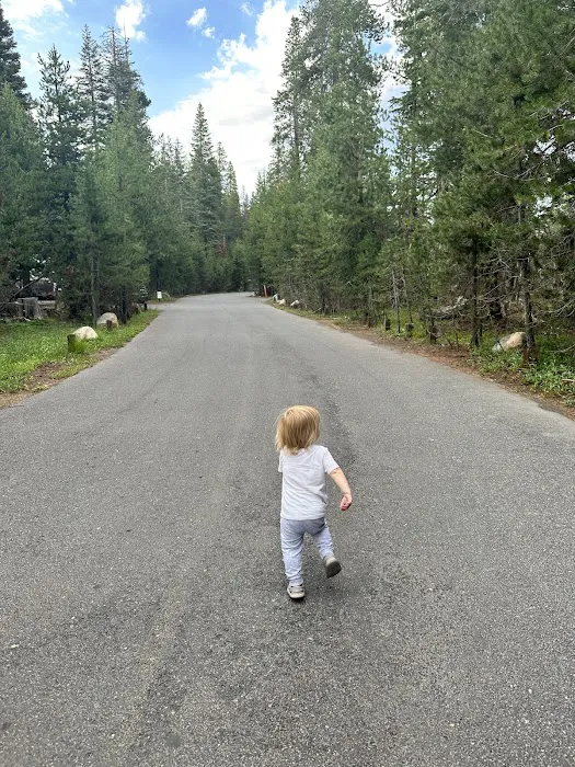 Spicer Meadow Campground Picture 8