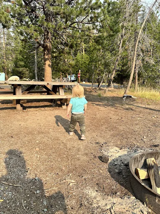 Spicer Meadow Campground Picture 5