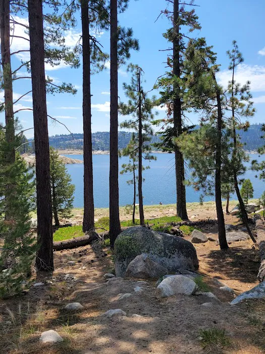 Spicer Meadow Campground Picture 10