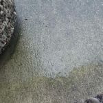 my semi-dry place to lay my head