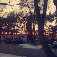 Maplewood Village ico