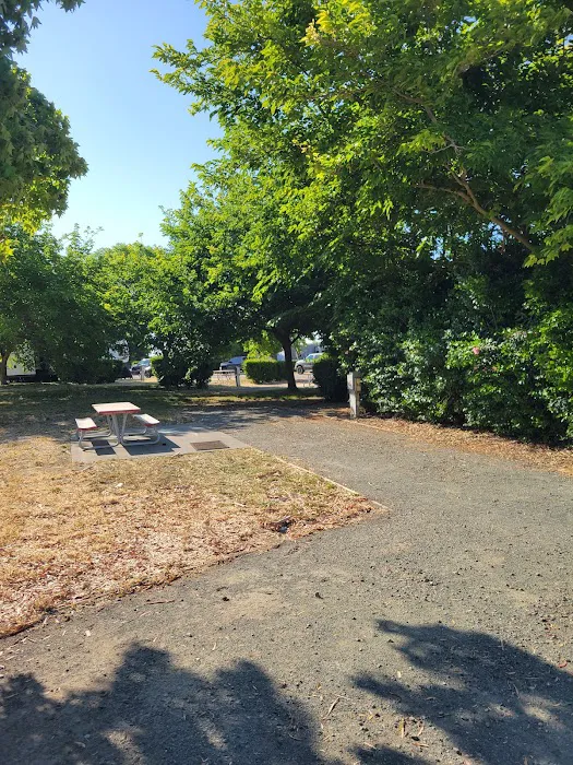 Travis AFB FamCamp Site #13 Picture 3