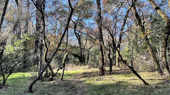 Ritchey Creek Campground Picture 5