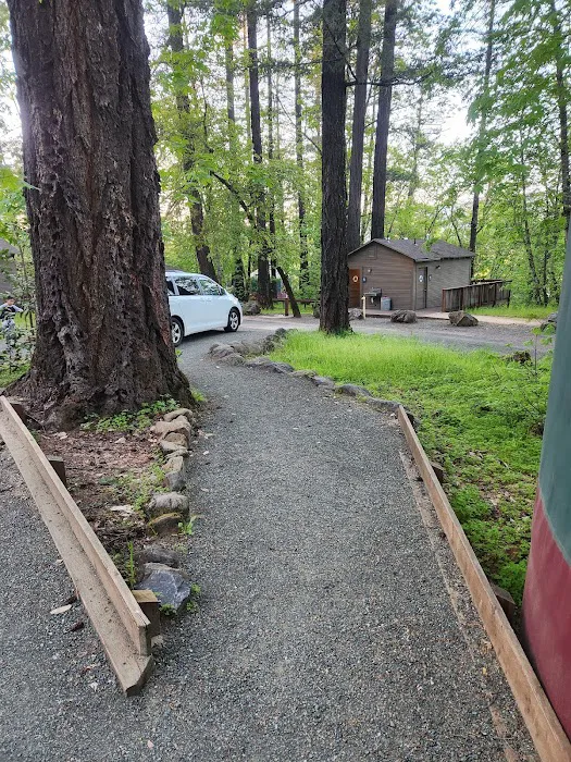 Ritchey Creek Campground Picture 9