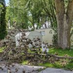 Plymouth Country View Estates