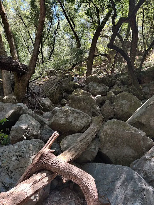 Sugarloaf Ridge Campground Picture 6