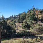 Casa Relaxo Vacation Rental