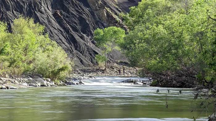 Cache Creek Regional Park Middle Campground Park Site Picture 4