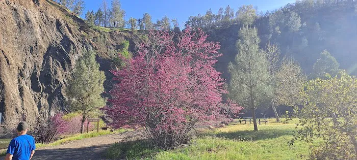 Cache Creek Regional Park Middle Campground Park Site Picture 10