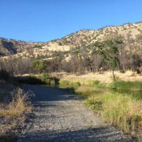 Buck Island Campground ico
