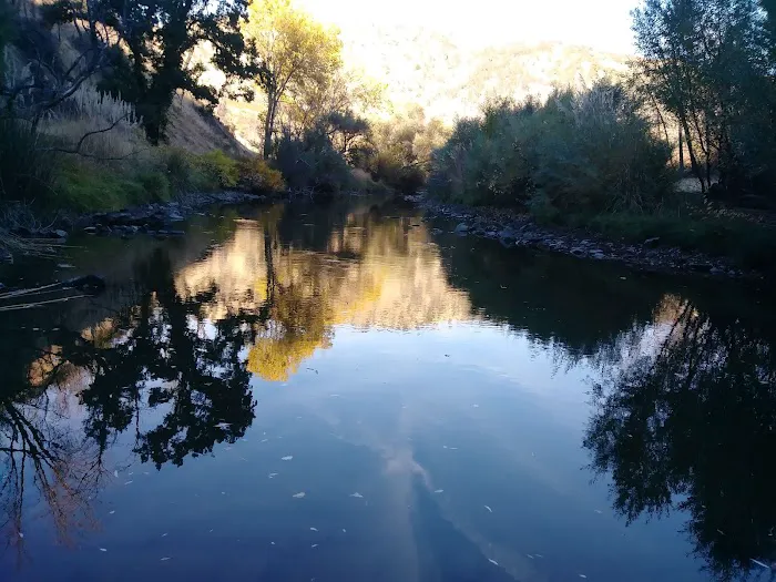Buck Island Campground Picture 4