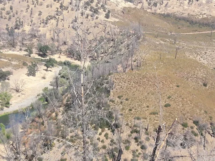Buck Island Campground Picture 10