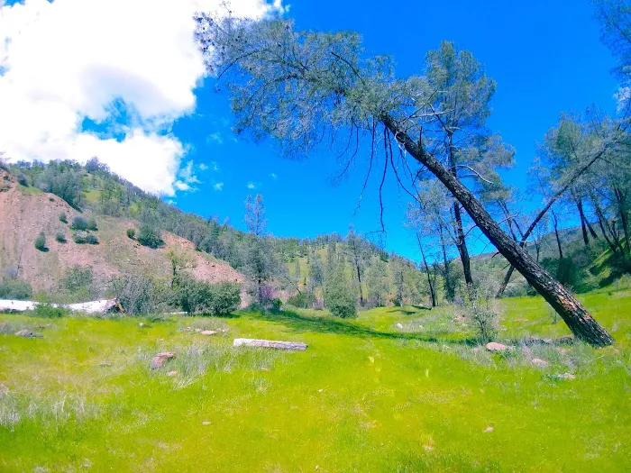 Bear Creek Campground Picture 2
