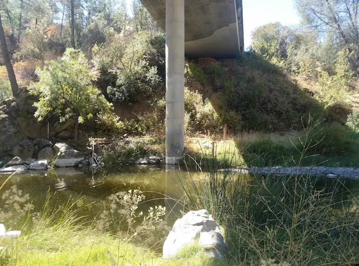 Bear Creek Campground Picture 5